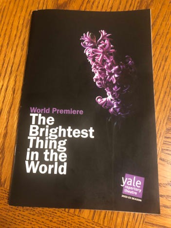 The Brightest Thing In The World At Yale Rep