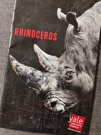 rhinoceros